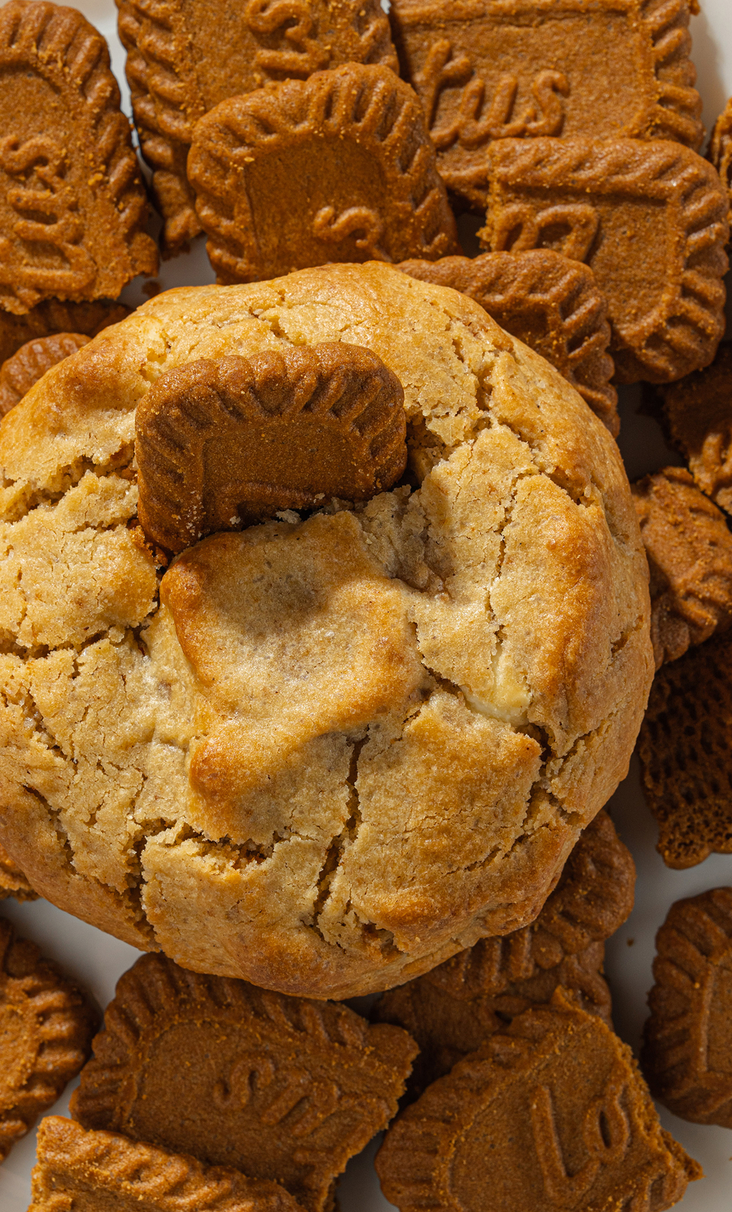 Almaty cookies -
городской
тренд